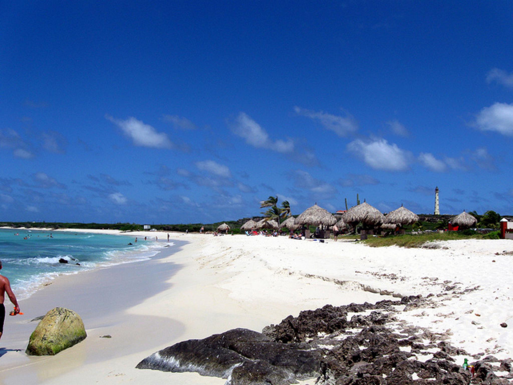 Twitter Aruba Jasmine
