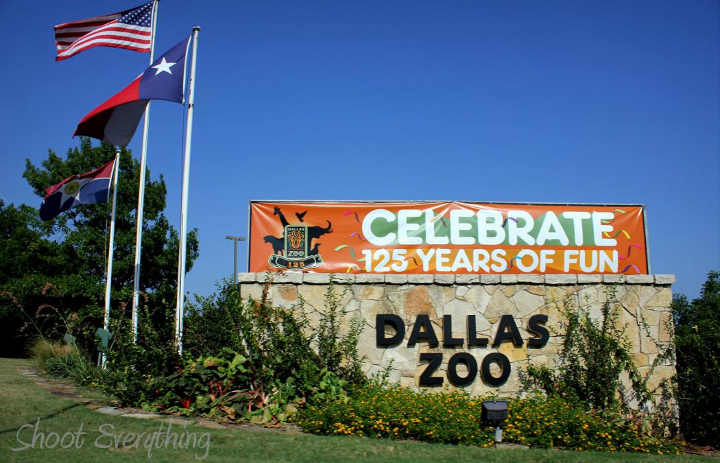 Dallas Zoo, Dallas, United Stateszoos,